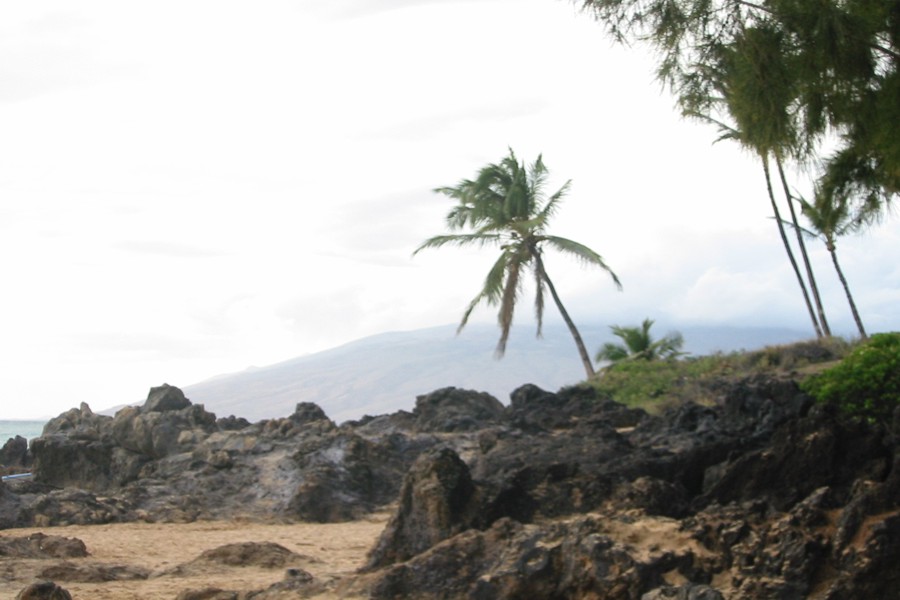 ../image/beach in kihei.jpg